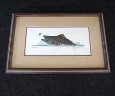 Brook trout fish for sale  Wrightsville