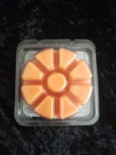 partylite melts gebraucht kaufen  Neu Wulmstorf