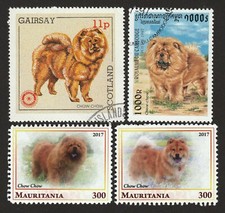 Chow chow int d'occasion  Expédié en Belgium