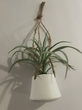 Decorative faux green for sale  Falmouth