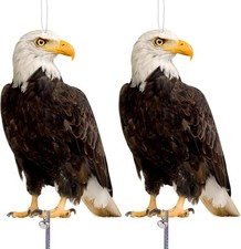 Kungfu mall hawk for sale  NEWPORT