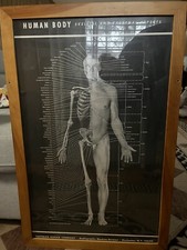 Vtg 1940s original for sale  Kansas City