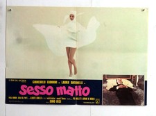 Cm.46x66 sesso matto usato  Italia