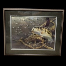 Largemouth bass agnew for sale  Osprey
