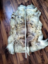 Rentierfell echt alt gebraucht kaufen  Grönenbach