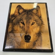 Vintage wolf picture for sale  Coudersport