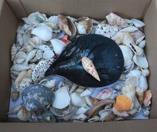 1kg mixed sizes for sale  HORSHAM
