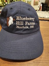 Blueberry hill farms for sale  Fremont