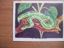 Figurina naturama lampo usato  Villanova Marchesana