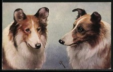 Künstler reichert collies gebraucht kaufen  Berlin