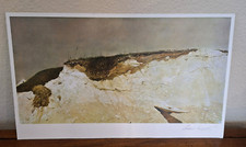 Andrew wyeth hand for sale  Kissimmee