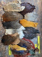Fly tying capes for sale  AMERSHAM