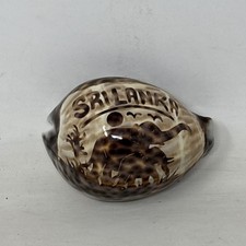Tiger cowrie sea for sale  DEESIDE