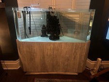 Aquatics aquarium corner for sale  CHESTERFIELD