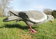 Flocked pigeon decoy for sale  BRISTOL