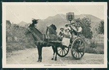 Palermo carretto siciliano usato  Gambolo