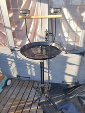 Bird parrot rouund for sale  BRADFORD