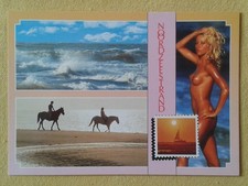 nordsee niederlande gebraucht kaufen  Meiningen