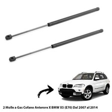 Molle gas pistoncini usato  Italia