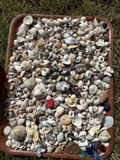 Aquarium fish tank for sale  HUNSTANTON