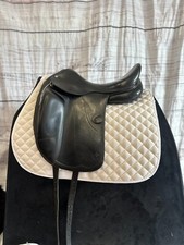 Amerigo vega dressage for sale  Louisville