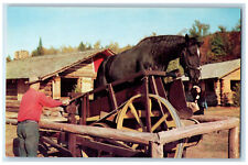 C1950 sawing logs for sale  Terre Haute