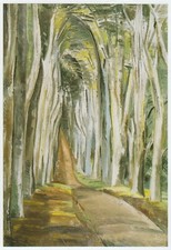 Savernake forest paul for sale Savernake forest paul for sale  BARNSLEY