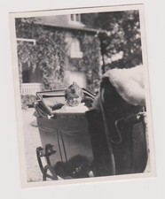 Antique photo baby d'occasion  Expédié en Belgium