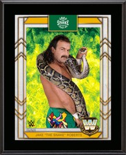 Jake snake roberts for sale  Fort Lauderdale