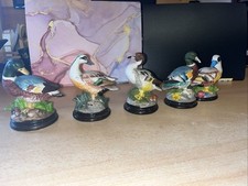 Set china ducks for sale  TONYPANDY