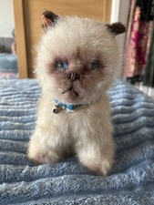 ragdoll cat for sale ragdoll cat for sale CLEVEDON
