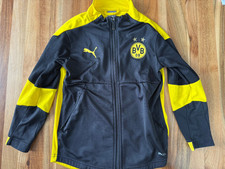 Bvb borussia dortmund gebraucht kaufen  Wiesbaden