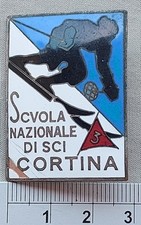 Distintivo smaltato scuola usato  Torino