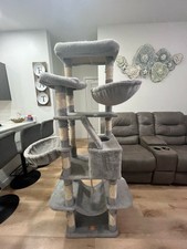 Pawz road cat for sale  Austin