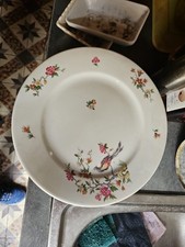 Lot assiettes porcelaine d'occasion  Laragne-Montéglin