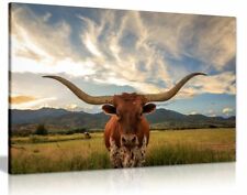 Cow prints longhorn for sale  LONDON