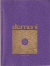 Domani maggio 2010 usato  Italia