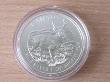Canada 2013 wildlife gebraucht kaufen  Staufenberg