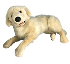 Classic golden labrador for sale  BASILDON