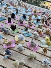 Grande lotto cuccioli usato  Milano