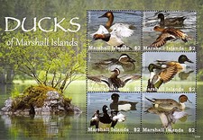 Marshalls 2022 birds for sale  Long Beach