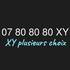 Numéro facile vip d'occasion  Lille-