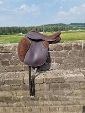 Thorowgood griffin cob for sale  KIDWELLY