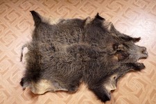 Schönes wildschweinfell wild gebraucht kaufen  Kirchberg