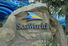 Sea seaworld san for sale  South Gate