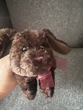Tesco brown puppy for sale  SPALDING