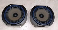 220i coppia woofer usato  Italia