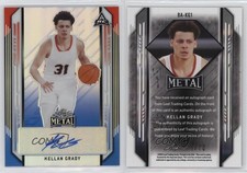 2021 leaf metal for sale  Auburn