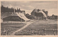 Feldberg 1930 hotel gebraucht kaufen  Lohra