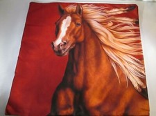 One southwest horse for sale  Evansdale